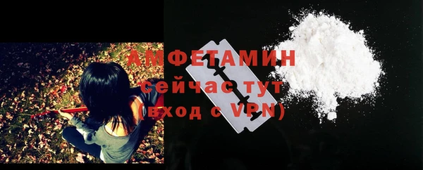 твердый Дмитриев