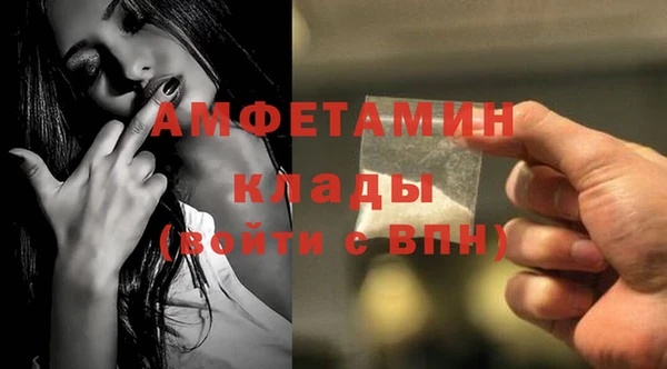 твердый Дмитриев