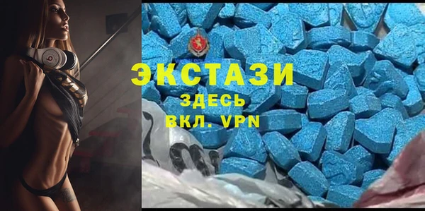 дмт Дмитровск