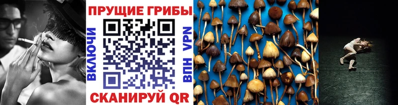 Галлюциногенные грибы прущие грибы OMG ссылка Петропавловск-Камчатский